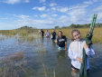 Marine Ecology Class Conducts Field Research in Chincoteague
