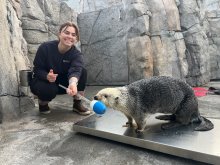 Celebrate World Wildlife Day, the Madeira Way